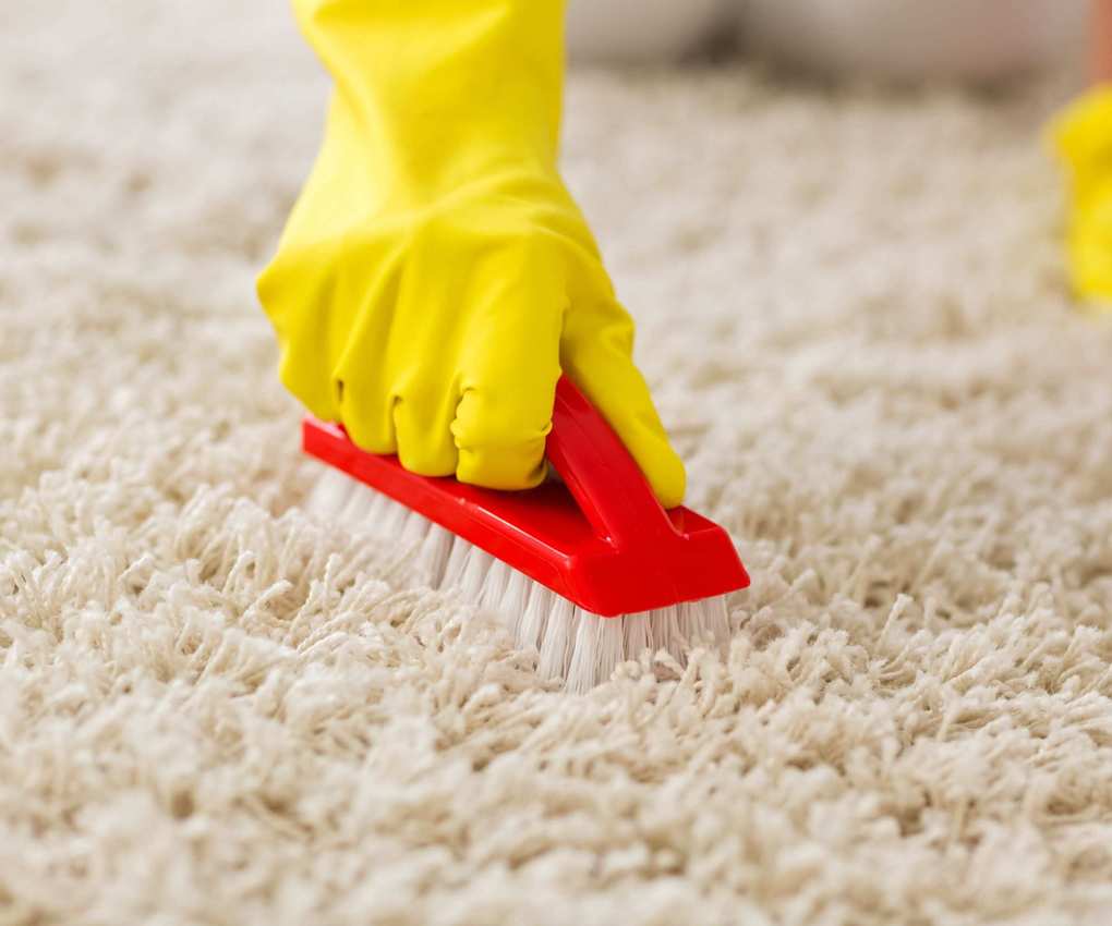 Someone scrubbing the carpet with a brush