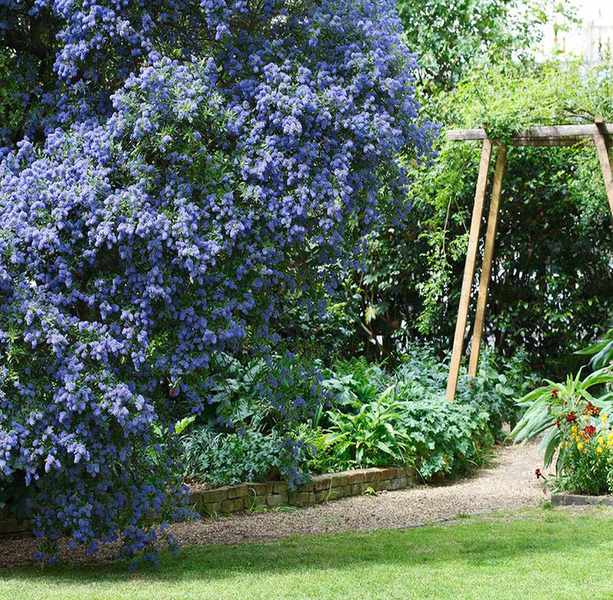 Instagram garden ideas