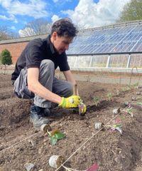 Gardening Expert