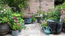 Container garden with concrete pavers and gravel