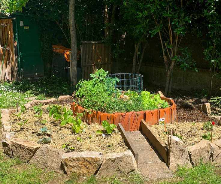 A keyhole garden in a backyard