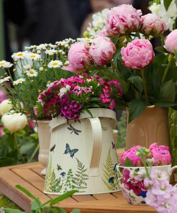 peonies used as cut flowers in vases
