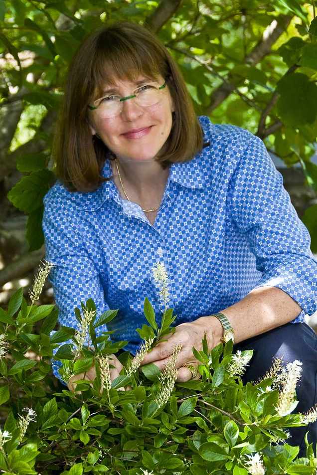 Kim Eierman headshot