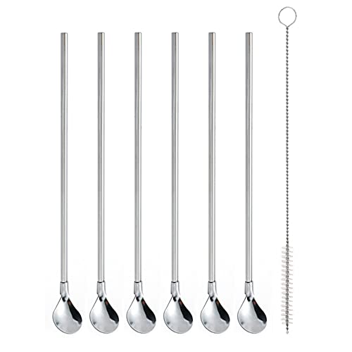 Ercrysto Reusable Stainless Steel Long Handle Straws Spoon