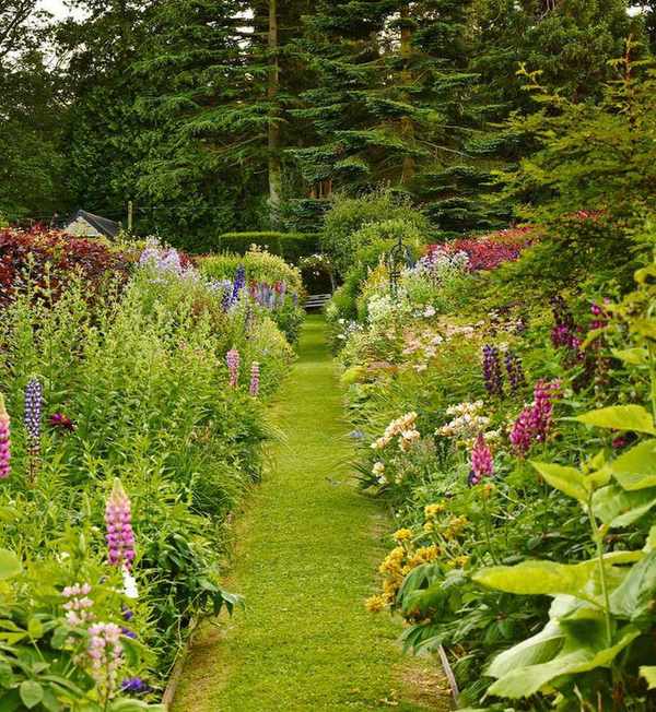 Flower bed ideas to line a garden path