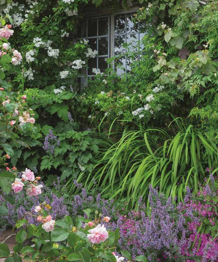 Close up of blue flowers and pink roses in the flower borders at Alfriston Clergy House, East Sussex. A rare 14th-century Wealden hall-house set in a traditional garden.