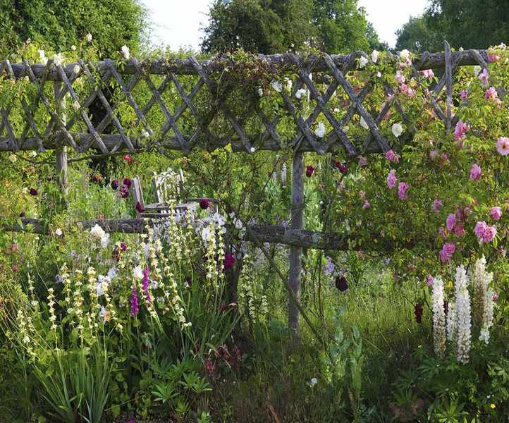 how to plan a cottage garden roses along a trellis