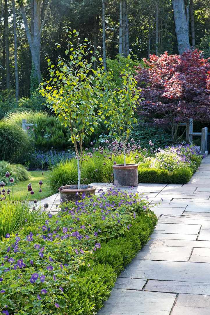 Potted trees on patio