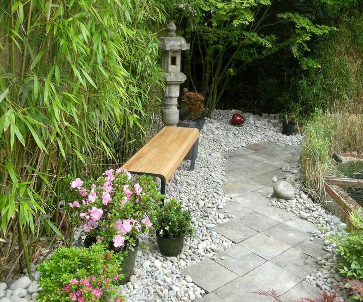 bamboo in a garden