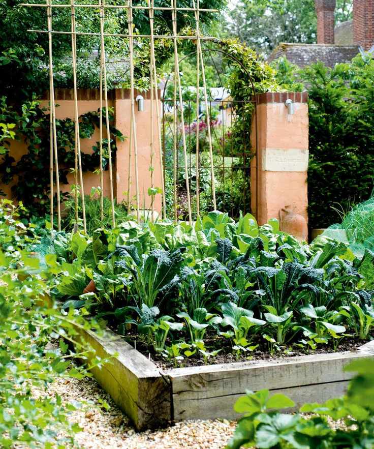 Raised garden beds