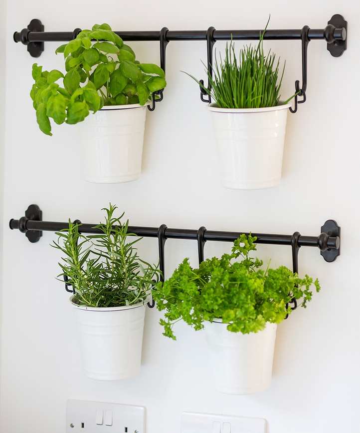 planting mistakes