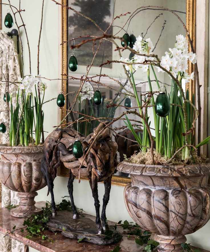 Paperwhites growing in rustic urns indoors