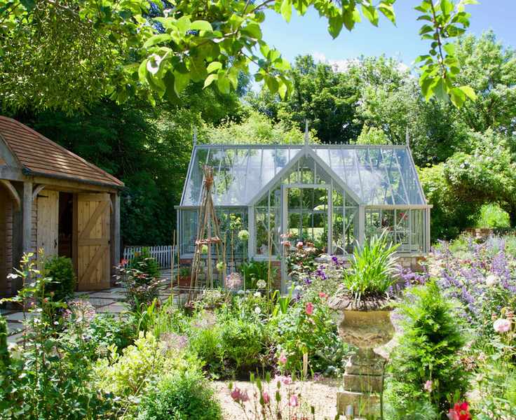 greenhouse surrounded by plants in summer