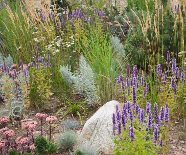 planting scheme from garden designer