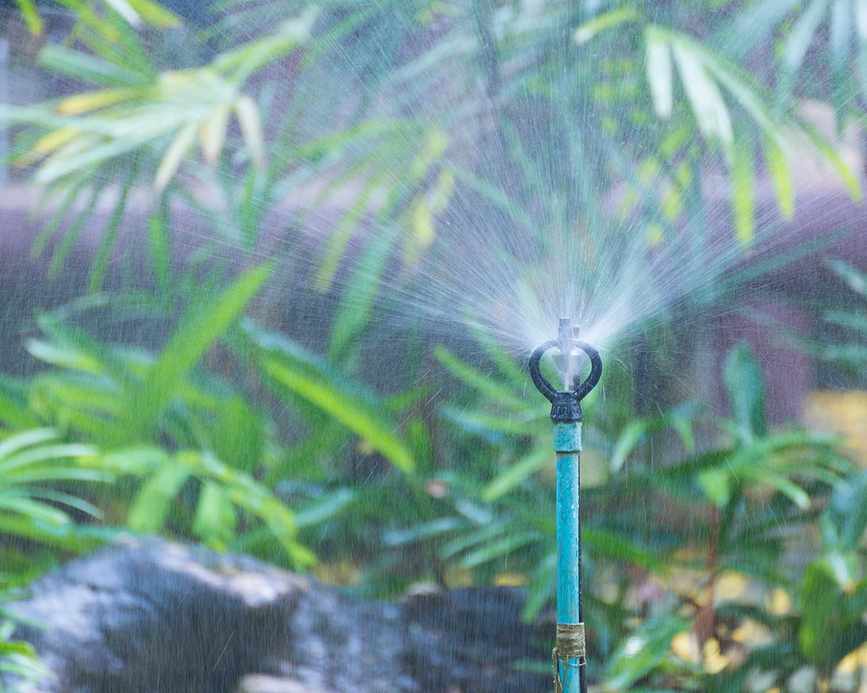 sprinkler in garden