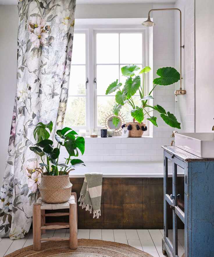 A cozy white bathroom with plants