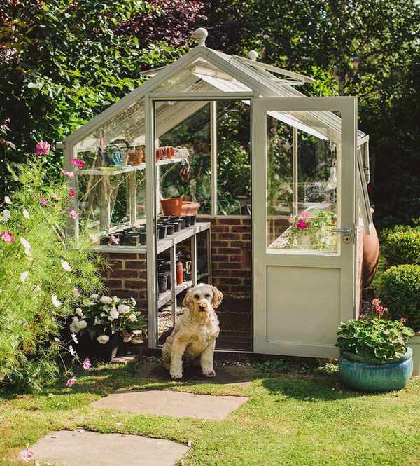 greenhouse in summer garden