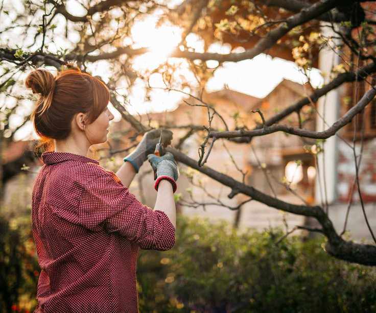 Woman pruning trees in her garden