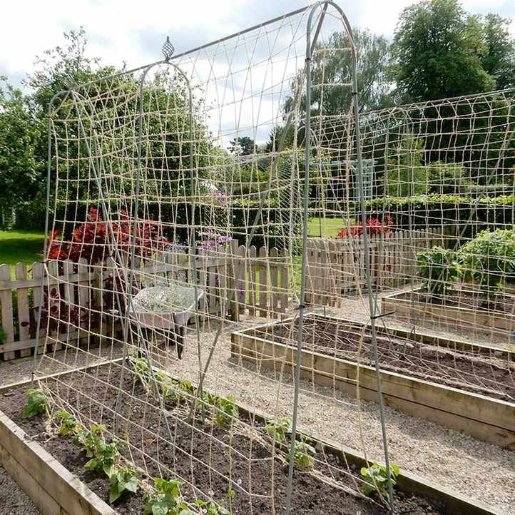 Elegance runner bean frame from Agriframes