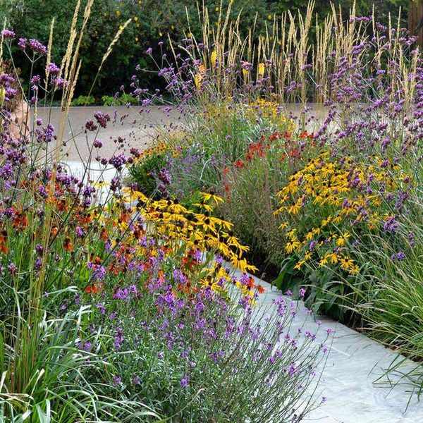 How to plant a cottage garden border - by Tracy Foster Garden Design