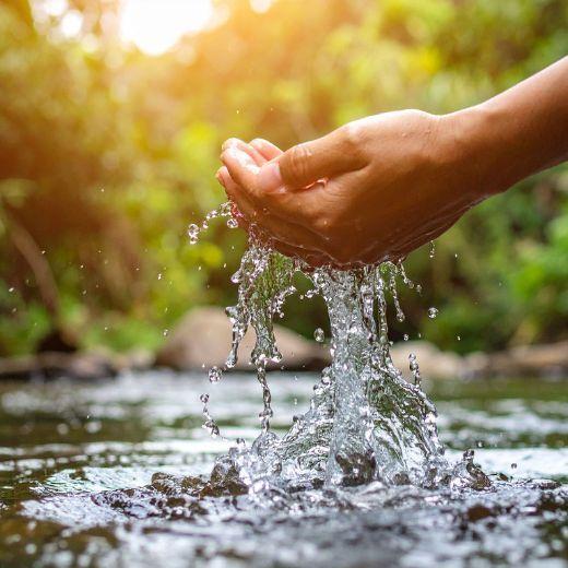 Water Conservation - Hands in Natural Lake Water