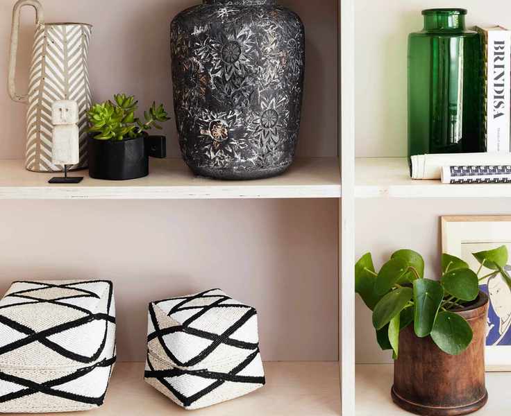 House plant watering tip