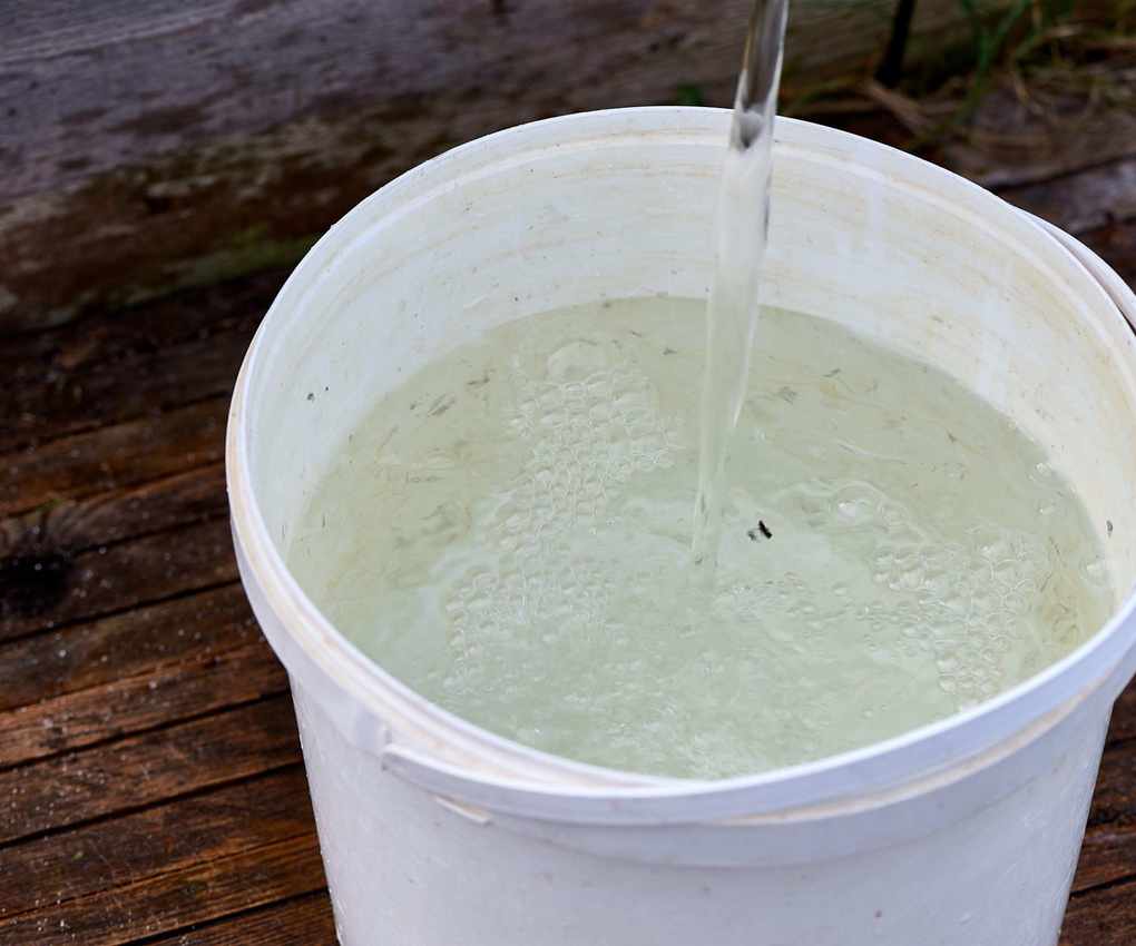 5 gallon bucket filled with water