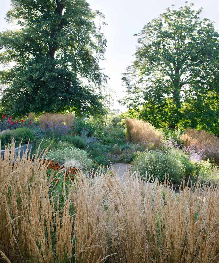 grasses and drought tolerant planting on a sloping hillside garden