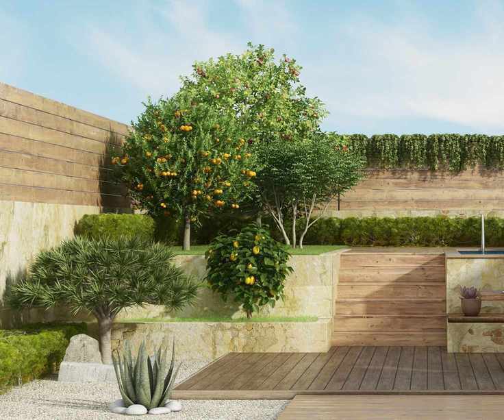 Lemon tree and orange tree in a small garden
