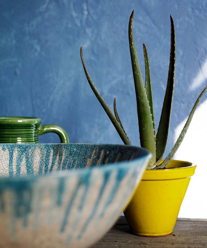 healthy plants