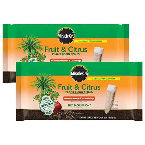 Miracle-Gro Fruit & Citrus Plant Food Spikes - 10-15-15 Npk Easy-To-Use Nutrition for Fruit and Citrus Trees, Plant Fertilizer, 12 Spikes, 3 Lb. (2-Pack)