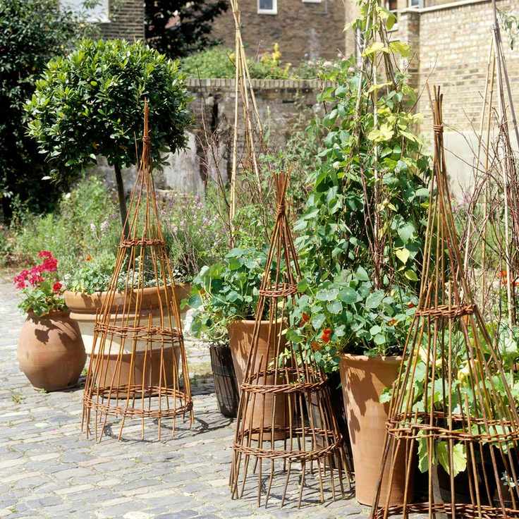 Pot plants and woven obelisks in patio garden