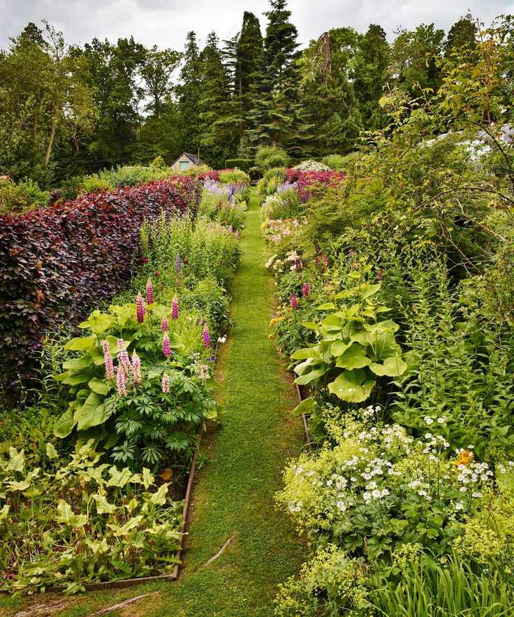 Flower and plant beds. Borders of lupins, Inula, Campanula and meadowsweet.