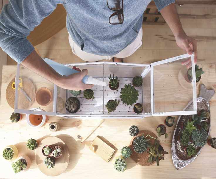 Indoor greenhouse