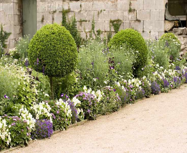 flowerbed with annuals and box shrubs