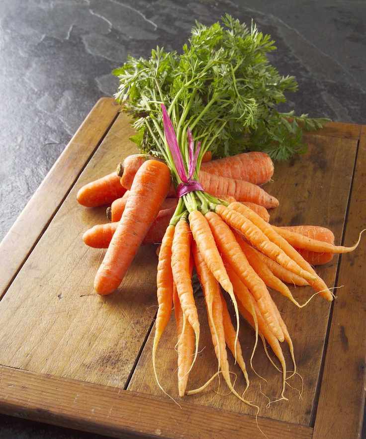 A bunch of harvested carrots on a wooden chopping board