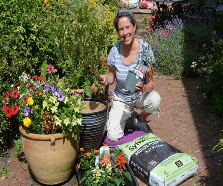 Gardener planting a summer container with peat-free compost
