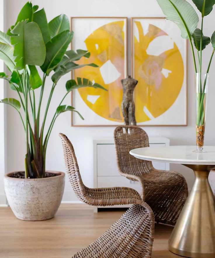 Vibrant dining room with two frames resembling a circular, abstract, yellow design, a large plant in a ceramic vase, two curved wicker chairs, and a sleek table with flowers in vase, on wooden floor.