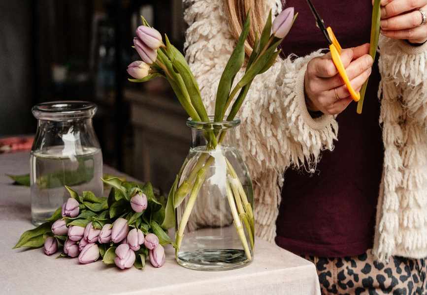 Lilac tulips in a vase and laying on a table