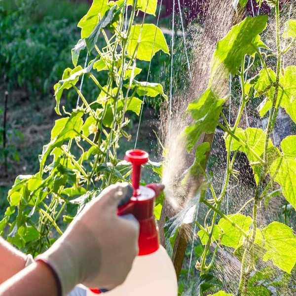 Pest control spray in the garden