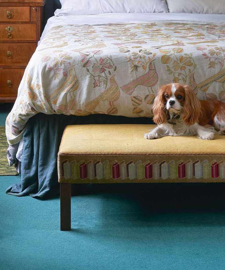 Cavalier King Charles Spaniel on a colorful ottoman