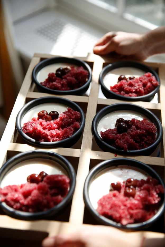 vanilla pomegranate panna cotta