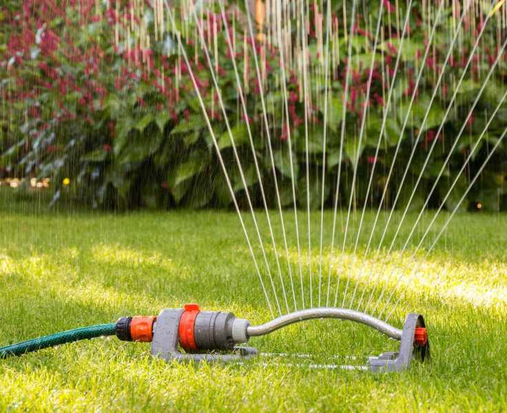 sprinkler in garden