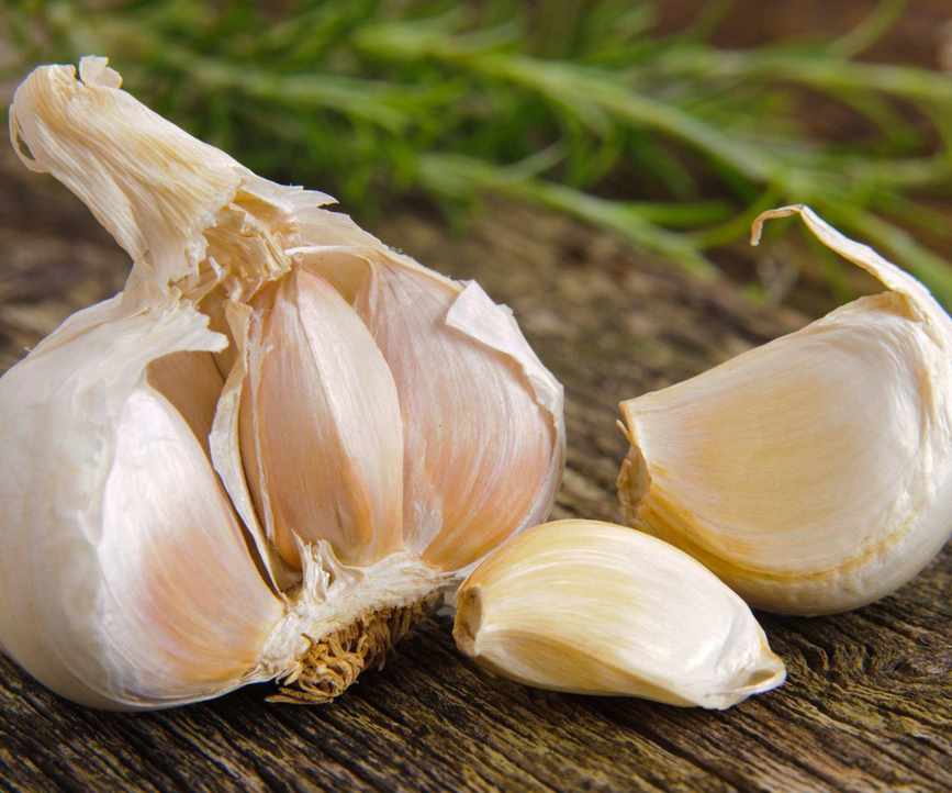 A garlic bulb separated into cloves for planting