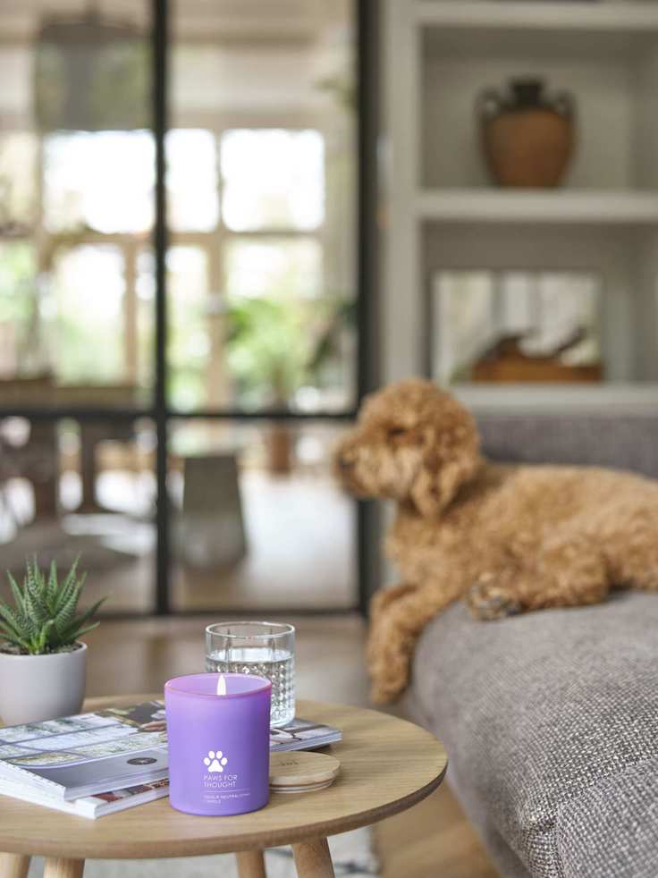 living with pets