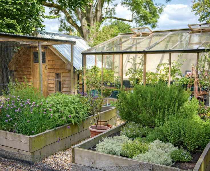 greenhouse in garden