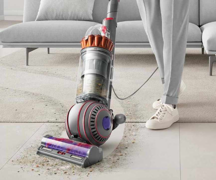 Dyson Ball Animal 2 vacuum cleaner