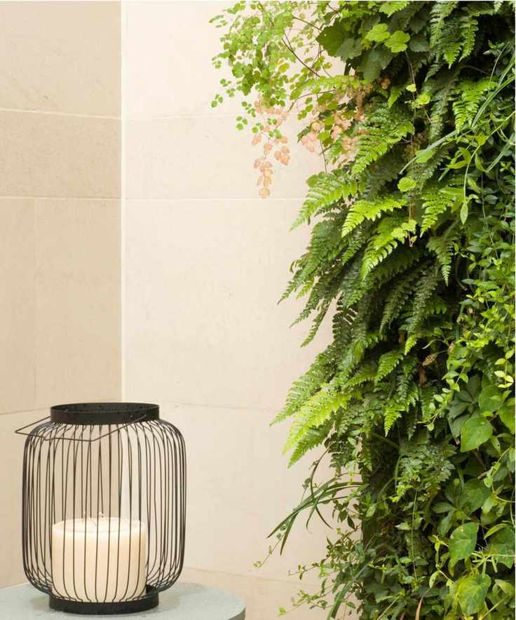 Foliage vertical garden