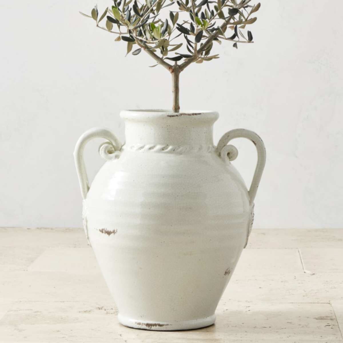 White stone urn with olive tree in