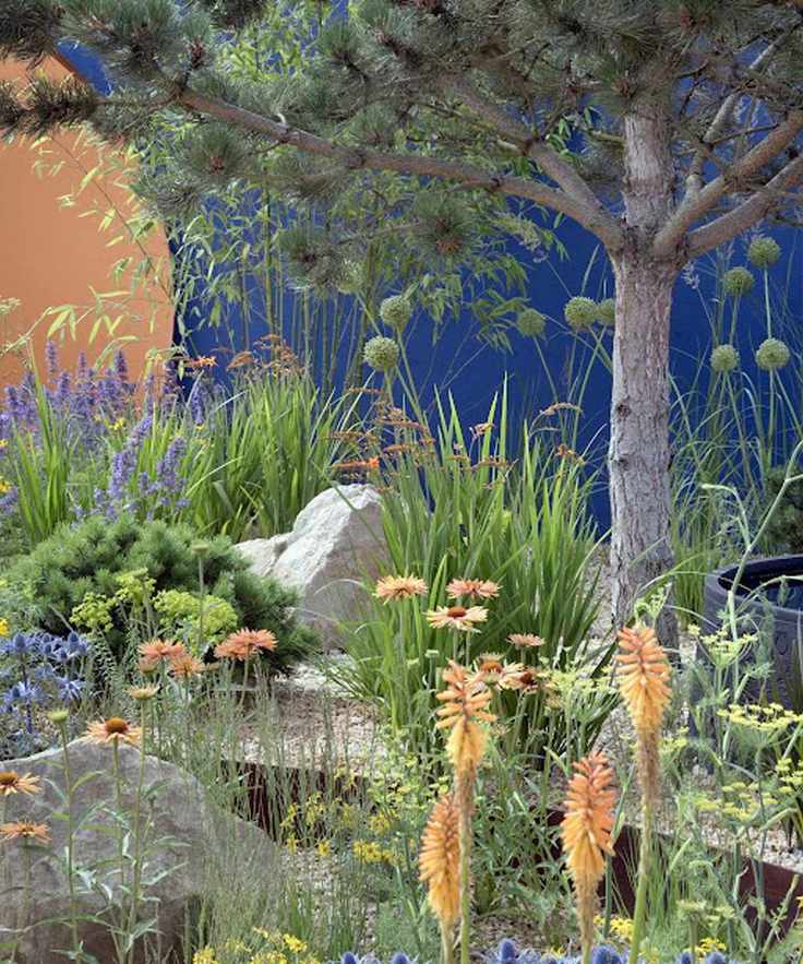 drought resistant planting with rocks and gravel
